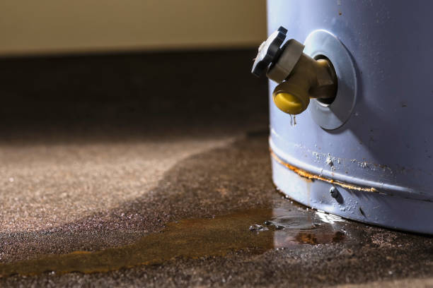 Best Professional water damage repair  in Red Oak, NC