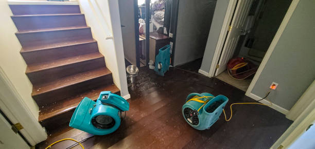 Best Sewage cleanup and water damage restoration  in Red Oak, NC