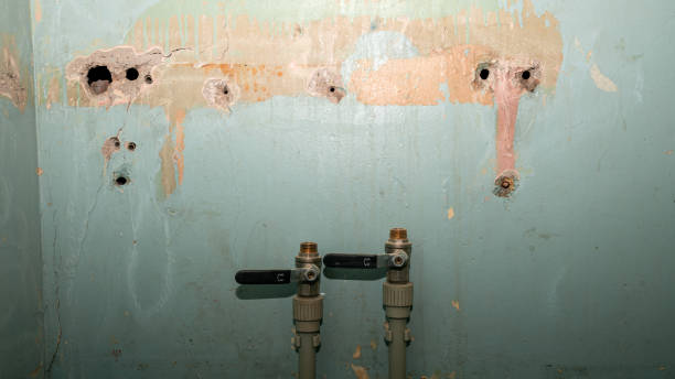 Best Water damage contractors near me  in Red Oak, NC